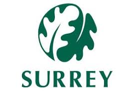 surrey county council